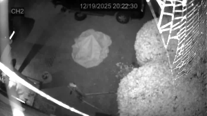 Caméra IP - Royaume-Uni