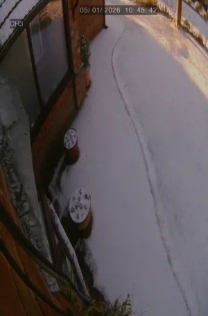 Caméra IP - Royaume-Uni