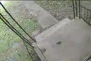 Caméra IP - United States of America