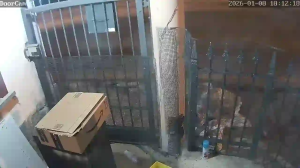 Caméra IP - Vereinigte Staaten von Amerika