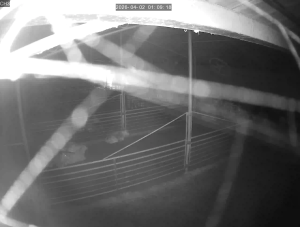 Caméra IP - República de Corea