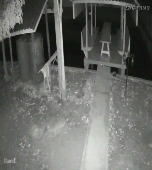 Caméra IP - Thailand