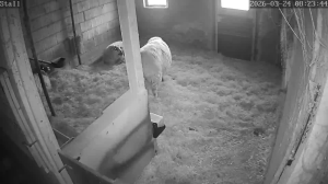 Caméra IP - Deutschland