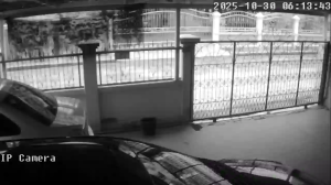 Caméra IP - Thailand