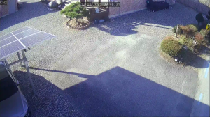 Caméra IP - South Korea