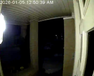 Caméra IP - Netherlands