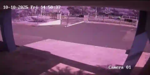 Caméra IP - Puerto Rico