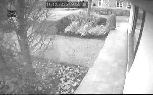 Caméra IP - Niederlande