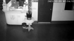 Caméra IP - Thailand