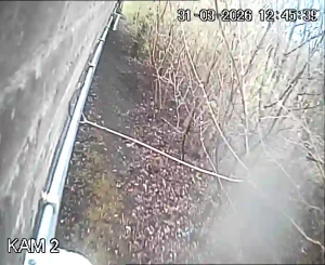 Caméra IP - Netherlands