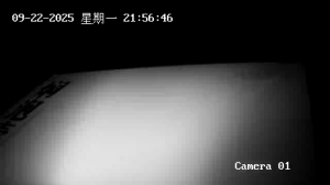 Caméra IP - Chine