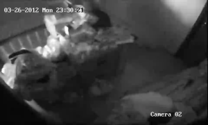 Caméra IP - Malaysia