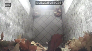 Caméra IP - Estados Unidos