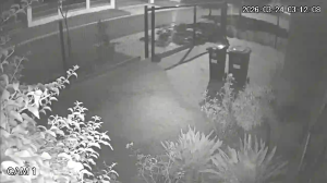 Caméra IP - Sudafrica