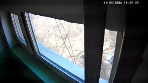 Caméra IP - Russian Federation