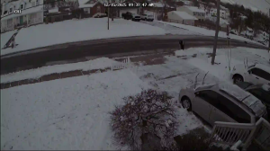 Caméra IP - Vereinigte Staaten von Amerika