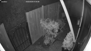 Caméra IP - Pays-Bas