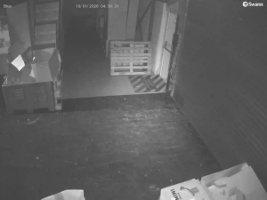 Caméra IP - Vue en direct