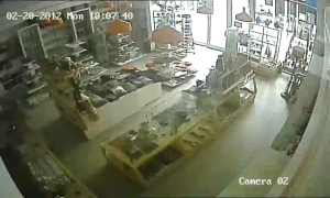 Caméra IP - Südafrika