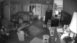 Caméra IP - Vereinigte Staaten von Amerika