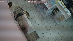 Caméra IP - South Korea