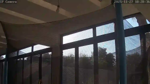 Caméra IP - Argentine