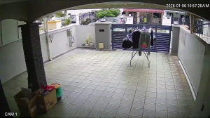 Caméra IP - Malesia