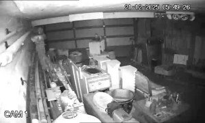 Caméra IP - Belgien