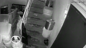 Caméra IP - Malaysia