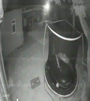 Caméra IP - South Africa