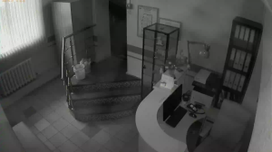 Caméra IP - Russische Föderation