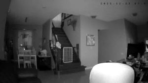 Caméra IP - United States of America