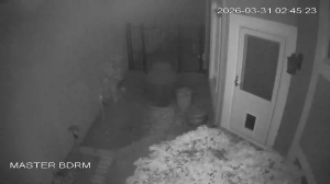 Caméra IP - Estados Unidos