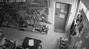 Caméra IP - Russian Federation