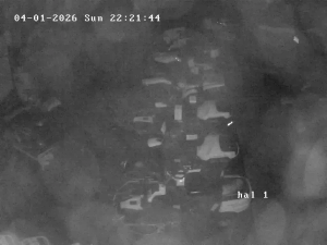 Caméra IP - Denmark