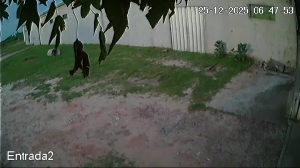 Caméra IP - Argentine