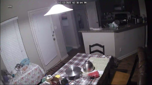 Caméra IP - Vereinigte Staaten von Amerika