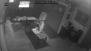 Caméra IP - États-Unis d'Amérique