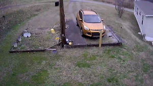 Caméra IP - Vereinigte Staaten von Amerika