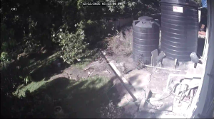 Caméra IP - Trinidad and Tobago