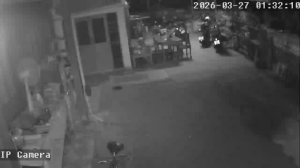 Caméra IP - Thailand