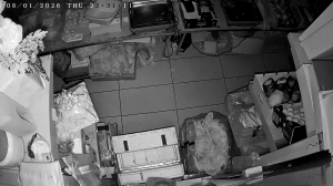 Caméra IP - Italien