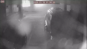 Caméra IP - South Korea