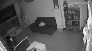 Caméra IP - Vietnam