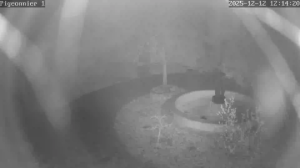 Caméra IP - Francia