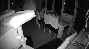 Caméra IP - Denmark