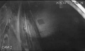 Caméra IP - Lituania