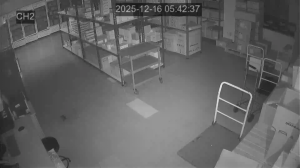 Caméra IP - Corée du Sud