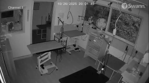 Caméra IP - Australia