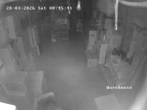 Caméra IP - Georgia